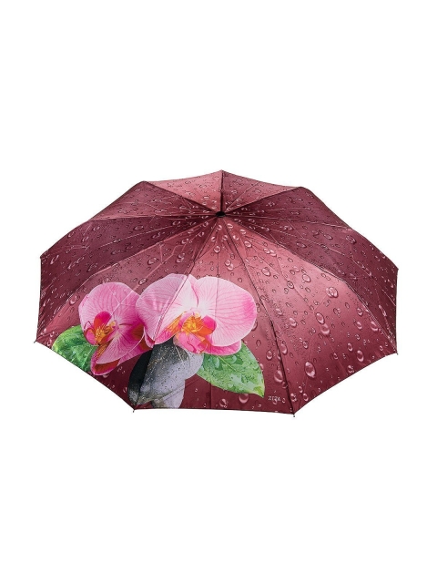 Бордовый зонт ZITA (ZITA) - артикул: 0К-00025861 - ракурс 1