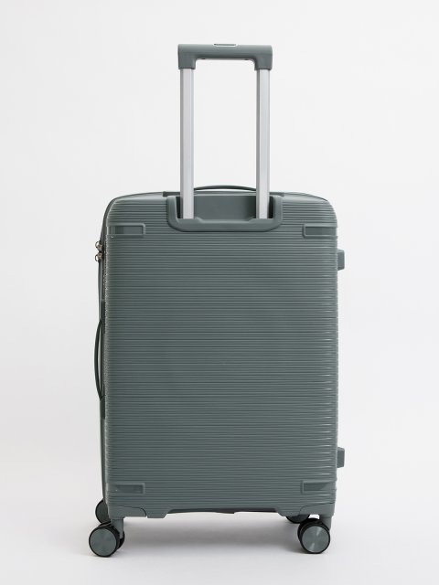 Светло-серый чемодан S.Lavia (Славия) - артикул: 0К-00075375 - ракурс 2