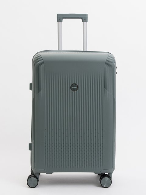 Светло-серый чемодан S.Lavia (Славия) - артикул: 0К-00075219 - ракурс 1