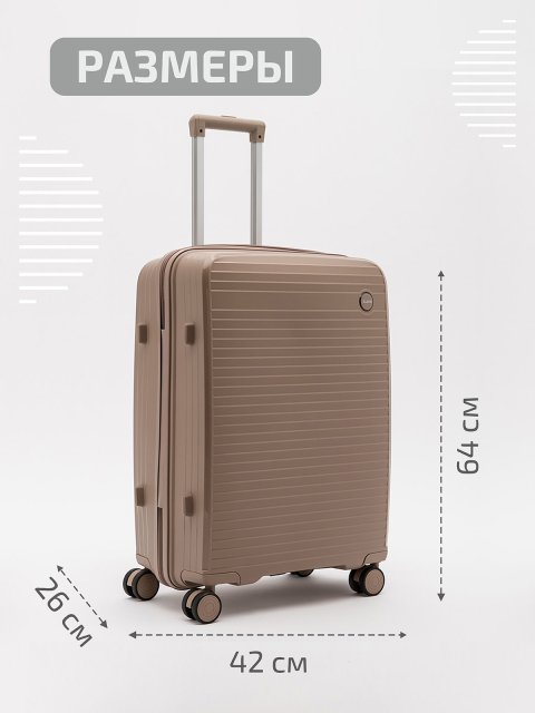 Серо-коричневый чемодан S.Lavia (Славия) - артикул: 0К-00067843 - ракурс 1