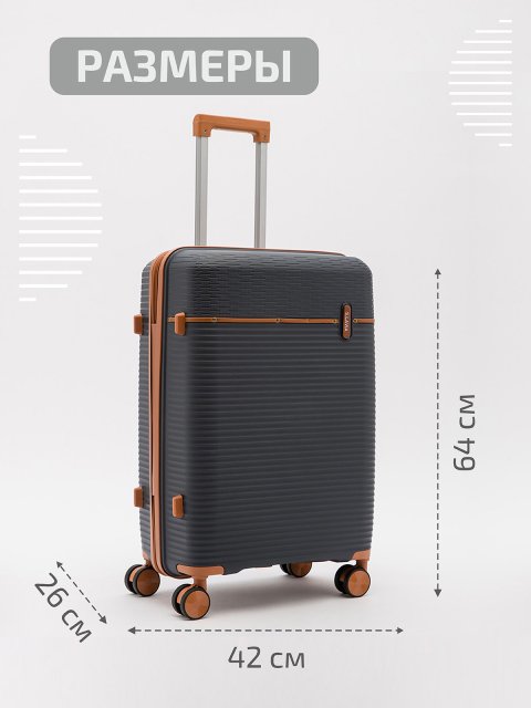 Темно-серый чемодан S.Lavia (Славия) - артикул: 0К-00067834 - ракурс 1