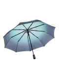 Зелёный зонт полуавтомат ZITA в категории Женское/Аксессуары женские/Зонты женские. Вид 3