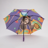 Фиолетовый зонт DINIYA. Вид 4 миниатюра.
