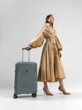 Светло-серый чемодан S.Lavia в категории Мужское/Мужские чемоданы. Вид 2