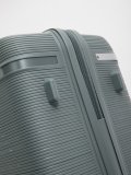 Светло-серый чемодан S.Lavia. Вид 8 миниатюра.
