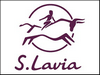 Бордовые сумки S.Lavia (Славиа)