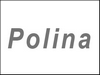 Бордовые сумки Polina (Полина)